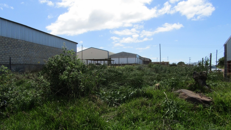 0 Bedroom Property for Sale in Humansdorp Eastern Cape